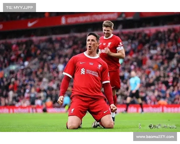 托雷斯的三个绰号揭秘：足球传奇背后的别名与象征意义