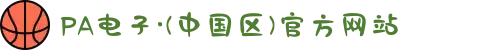 PA电子·(中国区)官方网站